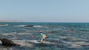 Before officials made it to the beach, the oak island water rescue team of volunteers set out to sea to bring the young boy back to shore. Amatuer Surfer Rides The Tropical Stock Footage Video 100 Royalty Free 1018527058 Shutterstock