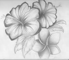 Drawing Flowers Shading Kids Drawing Coloring Page Pencil Drawings Of Flowers Flower Sketch Pencil Flower Sketches