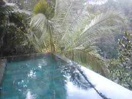 Une vidéo, filmée dans les eaux claires de la piscine, circule sur les réseaux sociaux depuis jeudi dernier. Piscine Privee Dans Le Vide De La Jungle Photo De Hanging Gardens Of Bali Payangan Tripadvisor