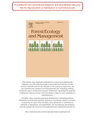 Image result for Exochaenium exiguum