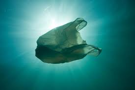 1.don t throw the rubbish in the sea 2.put the rubbish into the waste bin 3.plant trees 4.save the world 5.recycle plastic 6.don t use chemicals yukardaki kelimelerin türkçesini yazarmısınız. How Does Plastic End Up In The Ocean Wwf