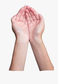 Cupped Hands Png Transparent Png Kindpng Download transparent cupped hands png for free on pngkey.com. cupped hands png transparent png kindpng