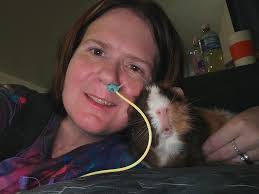 Words of wisdom from Ted the guinea pig.