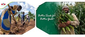 Centre (amic), my biomass sdn bhd, global cleantech innovation program (gcip). East West Seed Home Facebook