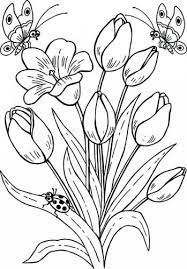 Mazzo Di Fiori Immagini Da Colorare