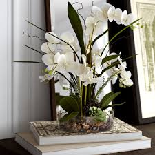 Choose the artificial flower to bring a touch of color into your interior.artificial flower. Primrue Phalaenopsis Orchid With Succulents Floral Arrangement In Pot Reviews Wayfair