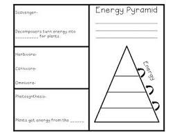 Ecological Pyramid Worksheet Food Chain And Energy Pyramid Brochure Foldable Note Taking Energy Pyramid Teaching Science Summer School Science
