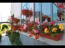 Une jardinière à l'ombre : Tuto Quelles Fleurs Planter Dans Des Jardinieres A L Ombre Les Begonias Youtube
