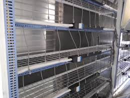 China Antminer Avalon Whatsminers Bitcoin Asic Mobile Mining Farm Container Gpu Miners China Foldable Miner Container Miner Box