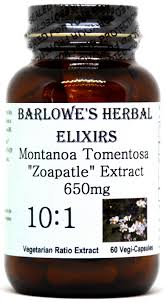 Image result for Fadogia tomentosa