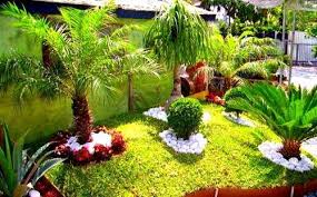 We did not find results for: Decoraciones De Jardines Pequenos Con Piedras