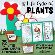 Our second grade curriculum does include three notebooks / workbooks, but they are. All About Plants 2nd Grade Worksheets Teaching Resources Tpt