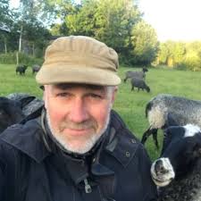 Anna Seddigh (@AnnaSeddigh)