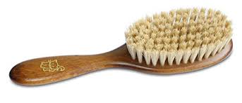 This option may well be the best brush for long haired cats. The 8 Best Cat Brushes Of 2021