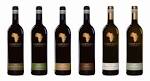 South african wine