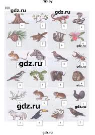 гдз по биологии 5 класс рабочая тетрадь сонина плешакова Gdz Uprazhnenie 180 Biologiya 5 Klass Rabochaya Tetrad Sonin