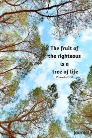 On each side of the river stood the tree of life, bearing twelve crops of fruit, yielding its fruit every month. The Fruit Of The Righteous Is A Tree Of Life Proverbs 11 30 Journal Creation Spring Rivers Haggard Cathy 9781082307195 Amazon Com Books