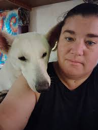 The Beauty of German Shepherds