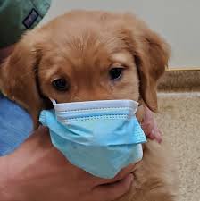All pets medical center's headquarters is in altus, oklahoma. All Pets Medical Centre Home Facebook