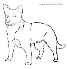 In 6 weeks she is colored out to a pretty blue. Cattle Dog Line Drawing Novocom Top