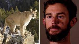 Hiker Speaks After Taking On Mountain Lion... And Winning - Bbc News