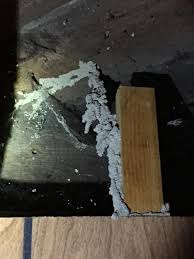 There are myriads of pest control methods that can totally eliminate pest infestations. Affordable Pest Technicians Home Improvement Sioux Falls South Dakota Facebook 10 Photos