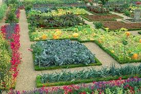 Pin On How Does Your Garden Grow