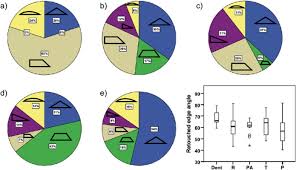 Quantitative And Qualitative Analysis For The Study Of