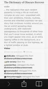 The Meaning Of The Word Sonder The Most Beautiful Word In The World Most Beautiful Words Sonder Beautiful Words