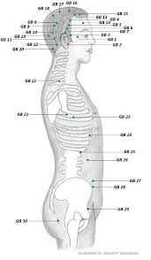 Acupressure Points Chart Acupressure Points Chart