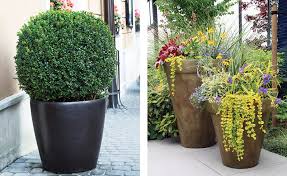 Adding plants will also help add privacy to your outdoor space. Privacy Potted Plants Living Outdoors