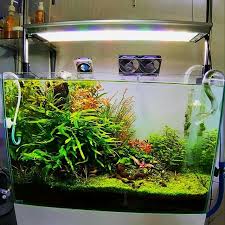 Beli diy lampu aquascape online berkualitas dengan harga murah terbaru 2021 di tokopedia! Jual Lampu Aquascape 120 Cm Dry Led Custom Eco 144 Watt Diy Hpl Aquarium Makassar Hobi