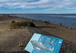 La Patagonia argentina tiene una de las mejores playas de Sudamérica, según  ranking internacional de TripAdvisor