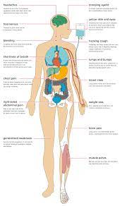It is the leading cause of cancer death in both men and women. Effects Of Lung Cancer On The Body