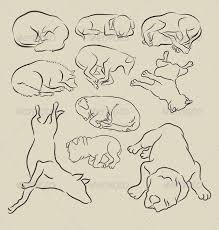 Dog Sleeping Sketches Tatuajes Perros Dibujos De Perros Bocetos
