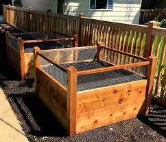 Most people who intend to grow edible plants in their garden, such as vegetables, opt to line the raised bed with plastic. Raised Bed Garden 0 Healthy Roots Raised Bed Gardens
