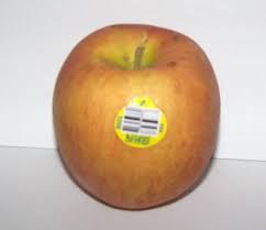 Sonya Apple Eat Like No One Else Upgrade to save unlimited icons. sonya apple eat like no one else