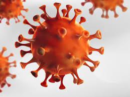 Sars showed how quickly infection can spread in a highly mobile and interconnected world. Sars Cov 2 Vircell