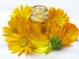 Medicinal Uses Of The Marigold In 2020 Calendula Cosmetic Surgery Oils