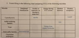 Solved 2 Finish Filling In The Following Chart Comparing
