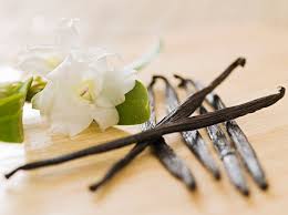 Well, all vanilla extracts have alcohol, some have sugar and some don't. Skip The Alcohol And Save Money While Making Your Own Vanilla Extract Vanilla Extract Without Alcohol Homemade Vanilla Extract Vanilla Extract