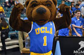 Please enable javascript and refresh the page to continue Ucla Basketball The Women S Team Land 5 Star Pg Jaden Owens