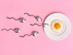 Merkt man eigentlich, wann der eisprung stattfindet? Was Ist Ein Eisprung 10 Dinge Die Du Wissen Solltest