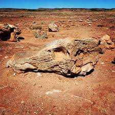 These are dinosaur tracks on the side of the highway on the navajo nation. Dinosaur Tracks Tour Picture Of Dinosaur Tracks Tuba City Tripadvisor