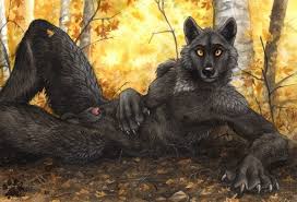 I am a leopard of an age appropriate to holding a pen. The Young Alpha By Blotch In 2021 Anime Furry Anthro Furry Furry Wolf