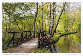 Spreewald Bei Lubbenau In Brandenburg Urlaub Spreewald Reisen