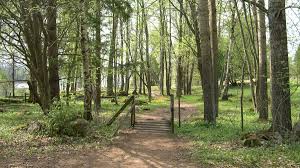 Natten mot lördag 29 maj guidar p1:s naturmorgon lyssnarna genom åtta timmar direktsänd fågelsång från norr till söder. Entreer Och Anordningar For Tillgangligheten Skogskunskap