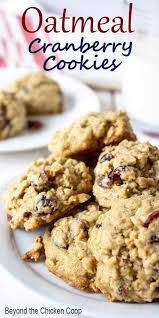 Oatmeal Cranberry Cookies Recipe Oatmeal Cookies Chewy Cranberry Cookies Recipes Oatmeal Cranberry Cookies