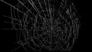 Spiderweb 3d Model 3d Model Spider Web Model