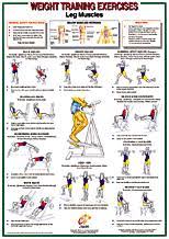 leg muscles chart leg muscles chart pcb fit7 39 95